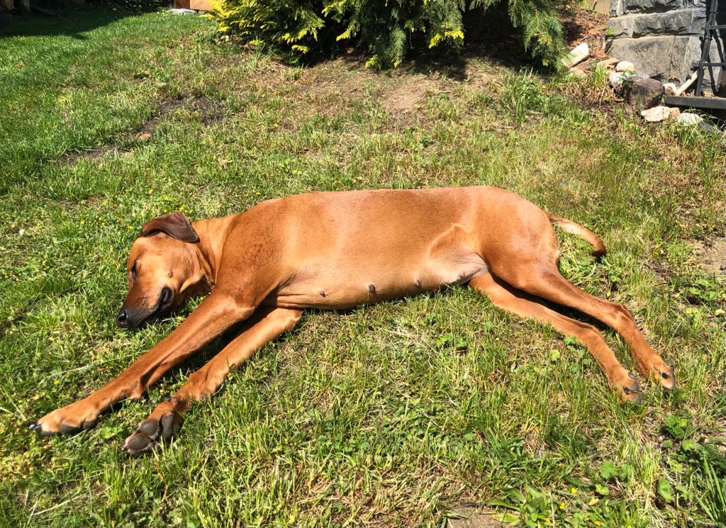 Tag 30 - Veränderungen